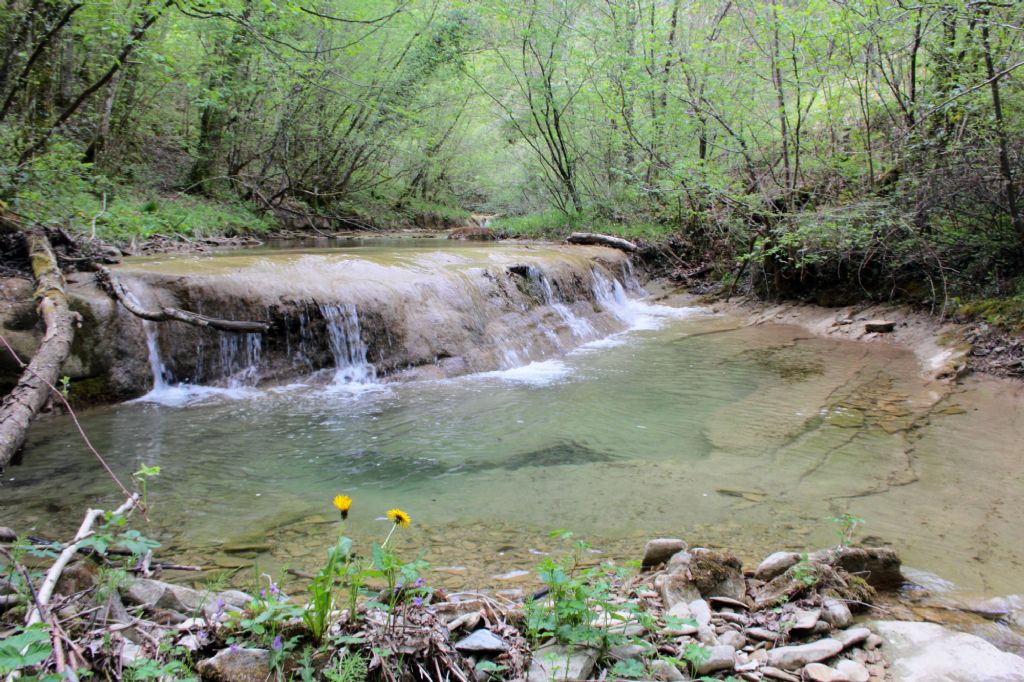 Primavera e primi accoppiamenti